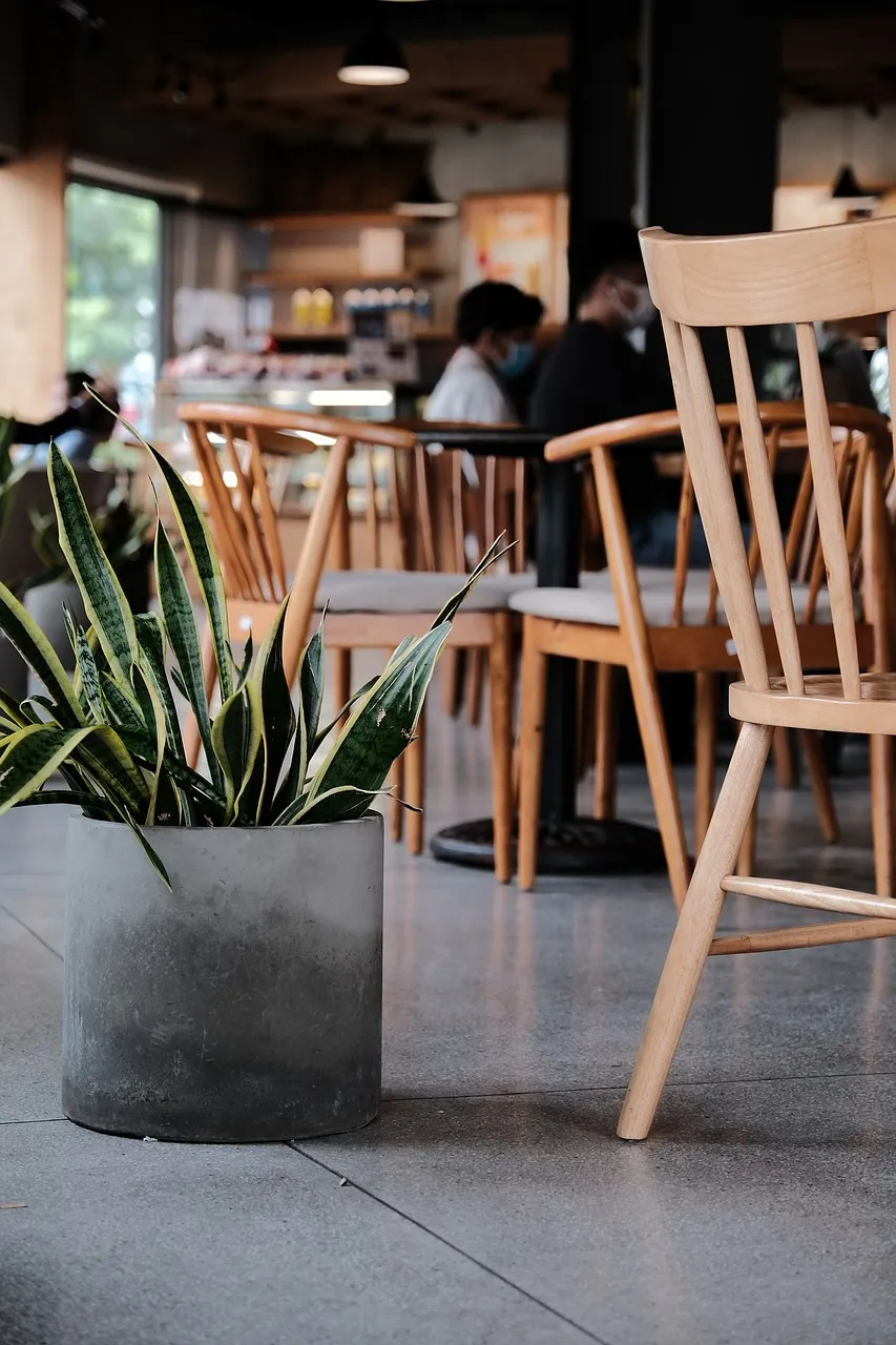 Kursi kayu dan tanaman di ruang kafe
