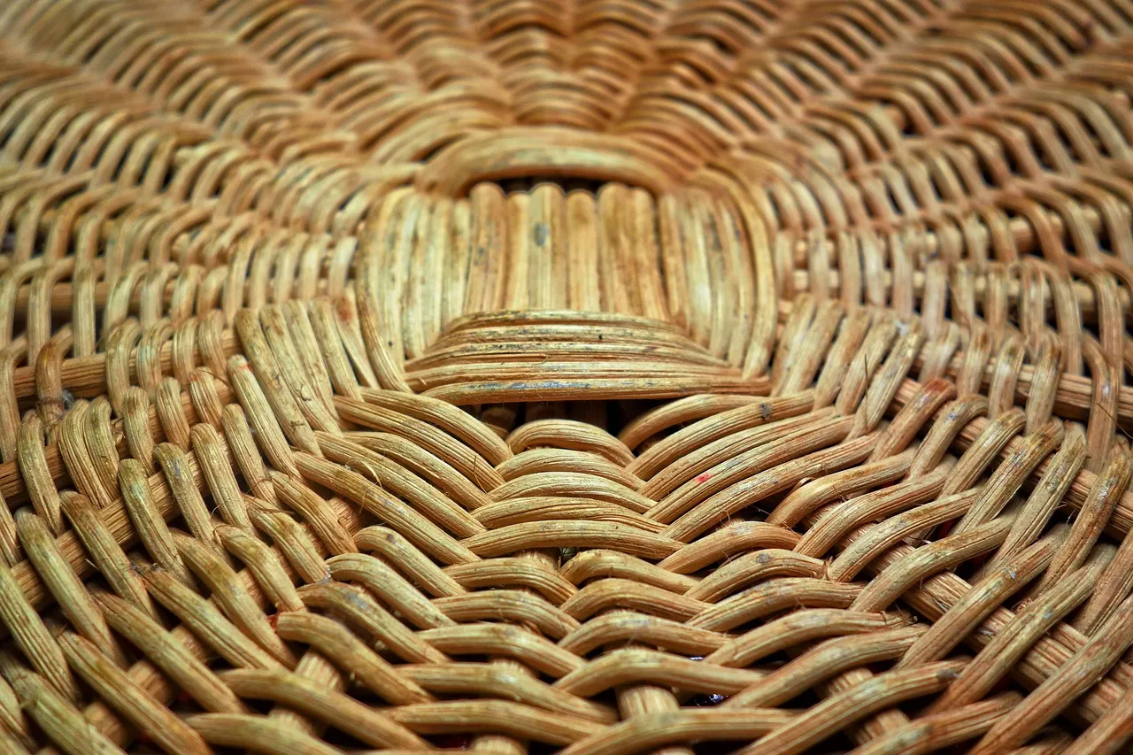 Tekstur Rotan