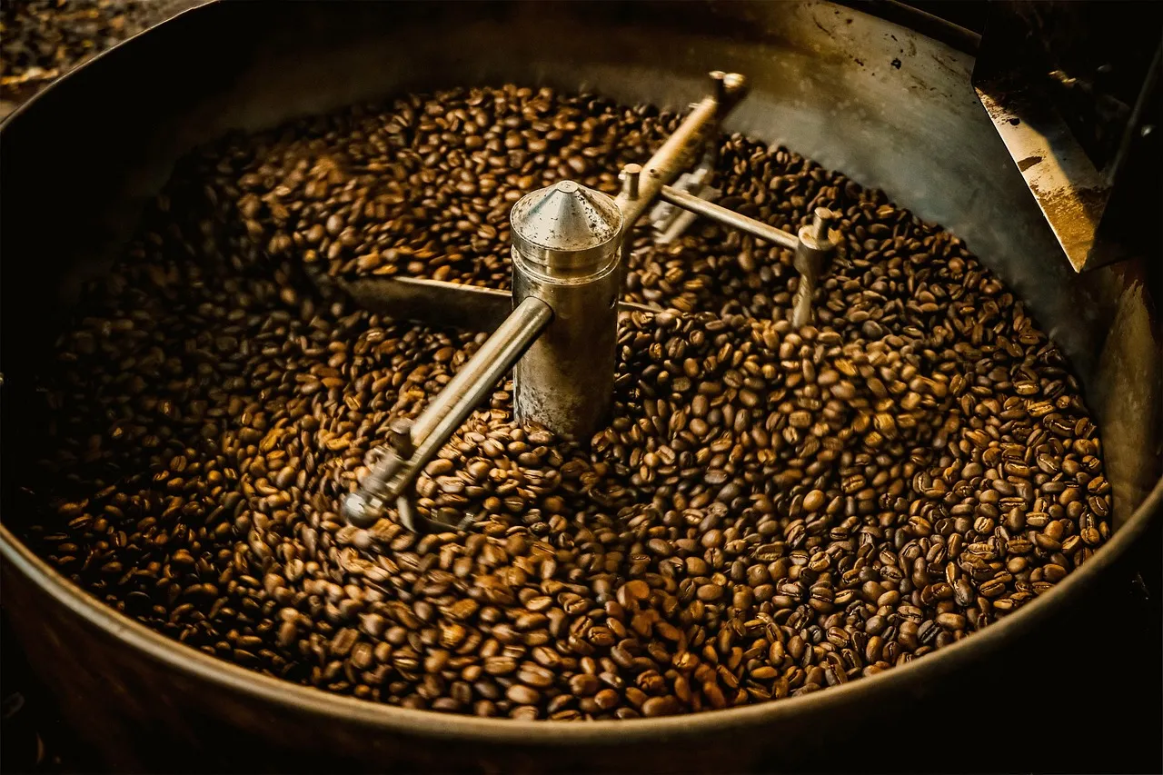 Biji kopi diaduk di dalam mesin sangrai