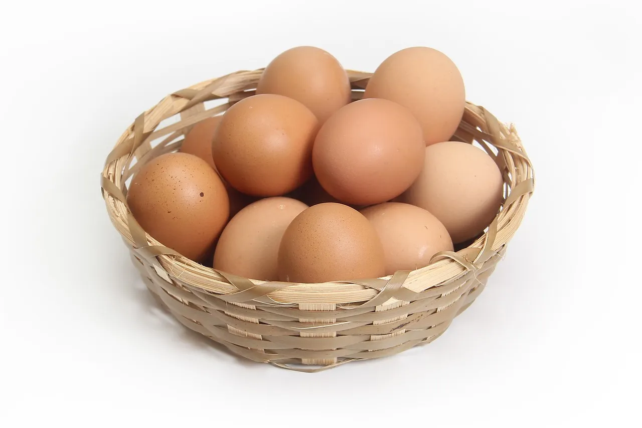 Telur ayam kampung
